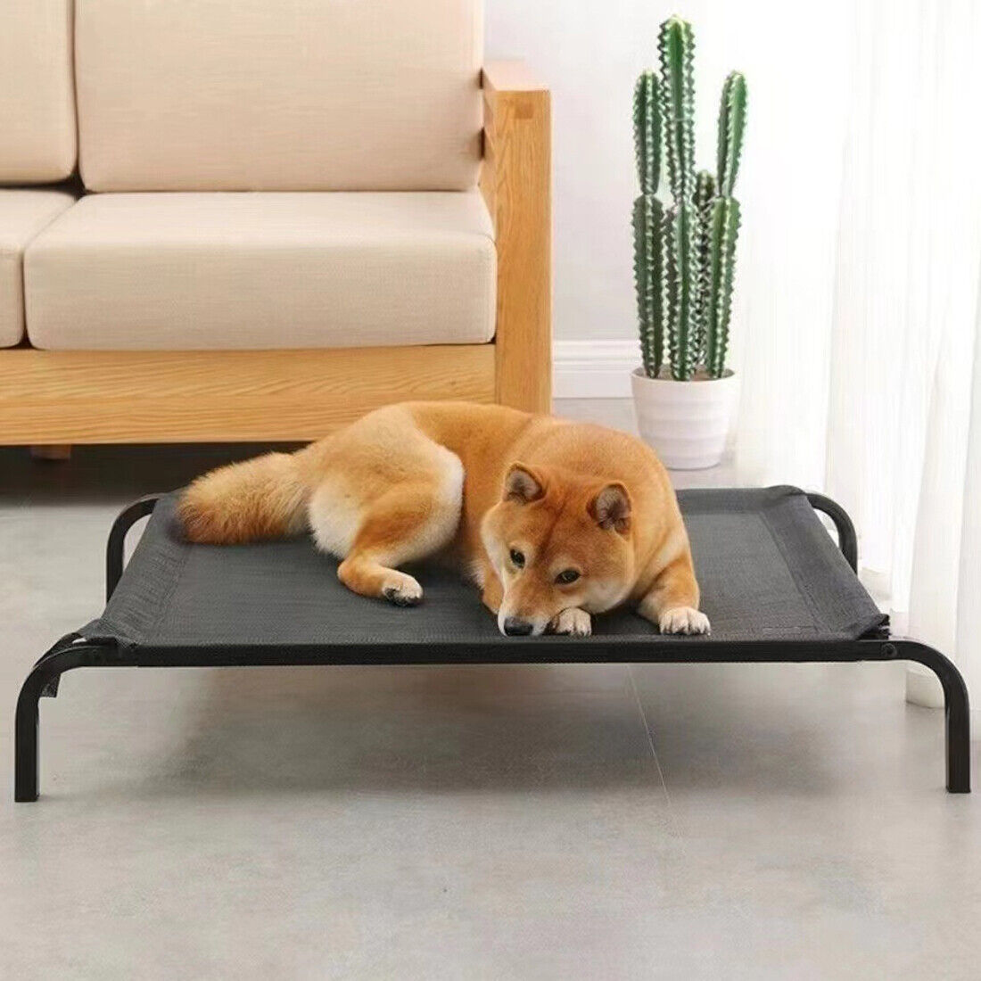 Elevated travel Dog Bed